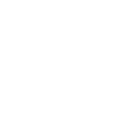 IBIFACE